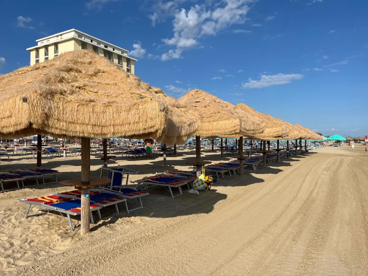 Fila di ombrelloni in paglia lungo la spiaggia